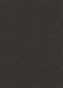 PARATO STARLIGHT PVC/TNT/UNITO BLACK/GOLD MIS.0,53X10,05MT