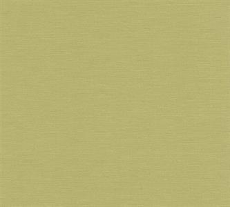 PARATO THE WALL 3  PVC  /TNT UNITO GREEN 0,53X10,05MT
