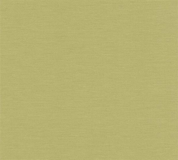 PARATO THE WALL 3  PVC  /TNT UNITO GREEN 0,53X10,05MT