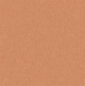 PARATO SAUVAGE 2 IN TNT /UNITO ORANGE 0,52X10,05MT