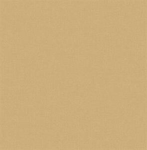 PARATO SAUVAGE 2 IN TNT /UNITO ORANGE 0,52X10,05MT