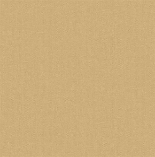 PARATO SAUVAGE 2 IN TNT /UNITO ORANGE 0,52X10,05MT