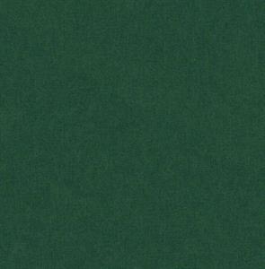 PARATO SAUVAGE 2 IN TNT /UNITO GREEN 0,52X10,05MT