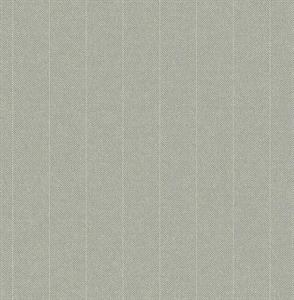 PARATO SAUVAGE 2 IN TNT /DESIGN TAUPE 0,52X10,05MT