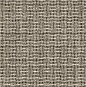 PARATO SAUVAGE 2 IN TNT /UNITO GREY 0,52X10,05MT
