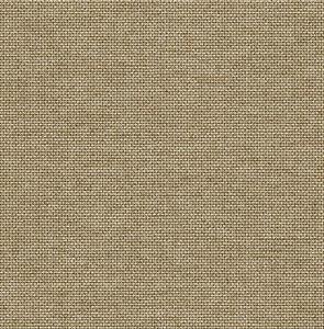 PARATO SAUVAGE 2 IN TNT /UNITO BEIGE  0,52X10,05MT