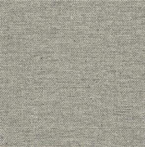 PARATO SAUVAGE 2 IN TNT /UNITO TAUPE 0,52X10,05MT