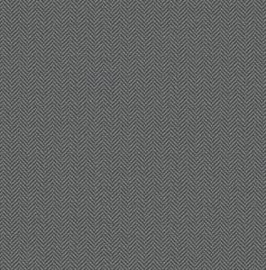 PARATO SAUVAGE 2 IN TNT /DESIGN GREY 0,52X10,05MT