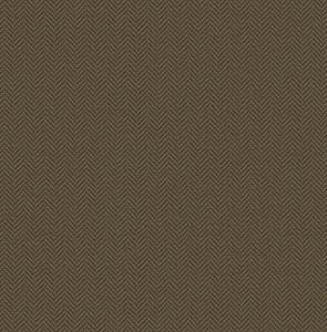 PARATO SAUVAGE 2 IN TNT /DESIGN BROWN 0,52X10,05MT