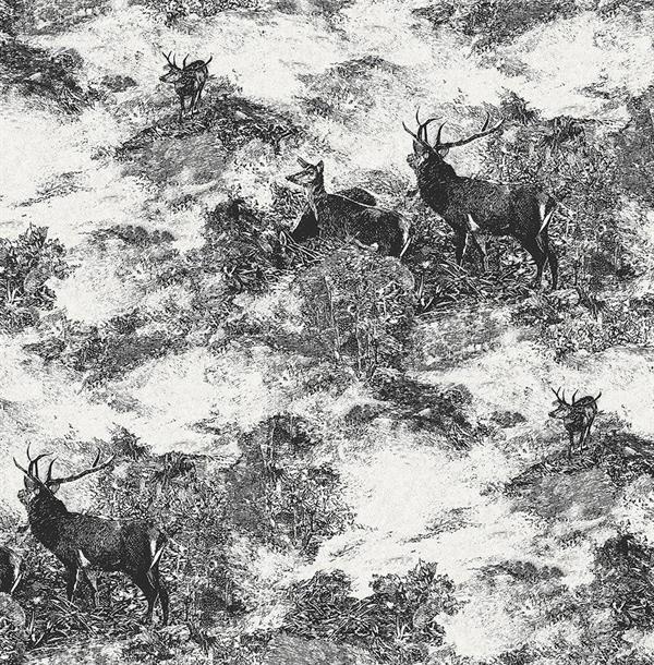 PARATO SAUVAGE 2 IN TNT / HUNTING WHITE 0,52X10,05MT