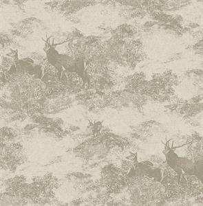 PARATO SAUVAGE 2 IN TNT / HUNTING BEIGE 0,52X10,05MT