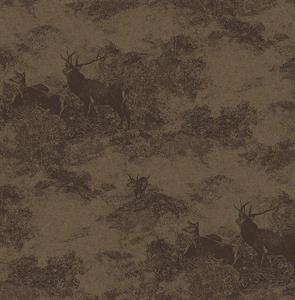 PARATO SAUVAGE 2 IN TNT / HUNTING BROWN 0,52X10,05MT