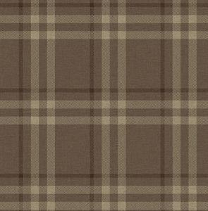 PARATO SAUVAGE 2 IN TNT / SCOZZESE BROWN 0,52X10,05MT
