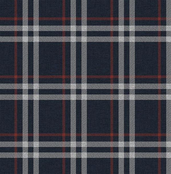 PARATO SAUVAGE 2 IN TNT / SCOZZESE BLUE 0,52X10,05MT