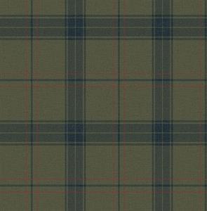 PARATO SAUVAGE 2 IN TNT / SCOZZESE GREEN 0,52X10,05MT