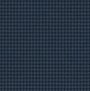 PARATO SAUVAGE 2 IN TNT / PIED POULE BLU 0,52X10,05MT