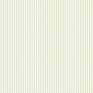 PARATO SMART STRIPES 24 /IN PVC/TNT RIGHE GREEN 0,53X10,05MT