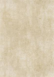 PARATO CHIC&CHARM PVC   /TNT UNITO GOLD 0,53X10,05MT