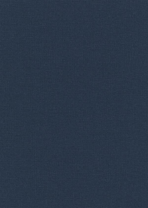 PARATO CHIC&CHARM PVC   /TNT UNITO BLUE 0,53X10,05MT