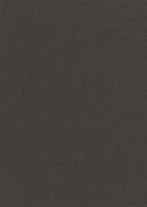 PARATO CHIC&CHARM PVC   /TNT UNITO BROWN 0,53X10,05MT