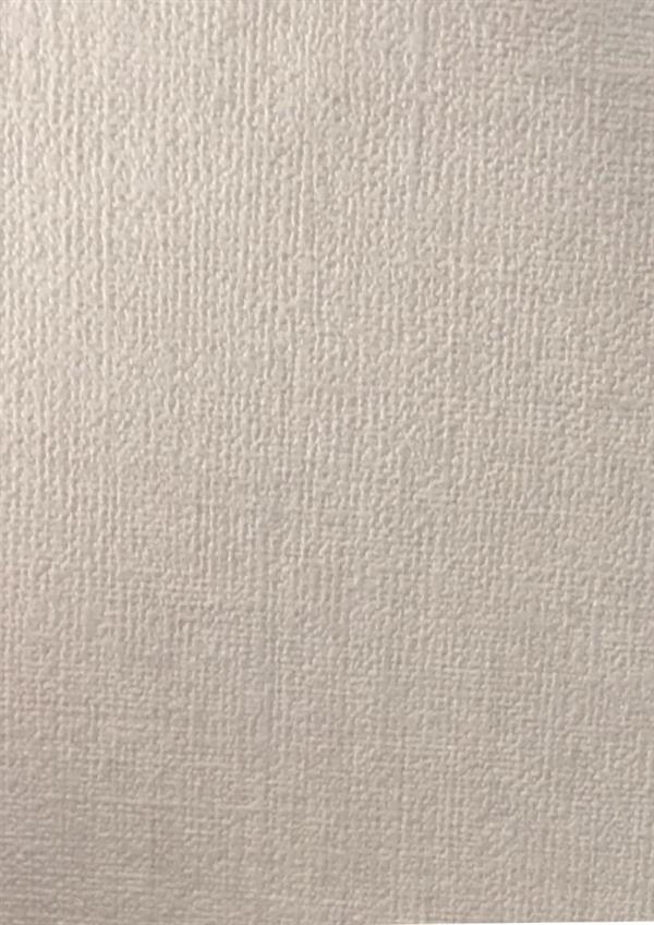 PARATO HEARTHBEAT VOL.1 /PVC/TNT UNITO BEIGE 0,53X10,05MT