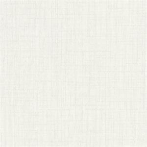 PARATO POP COLOURS PVC/ TNT UNITO BEIGE 0,53X10,05MT