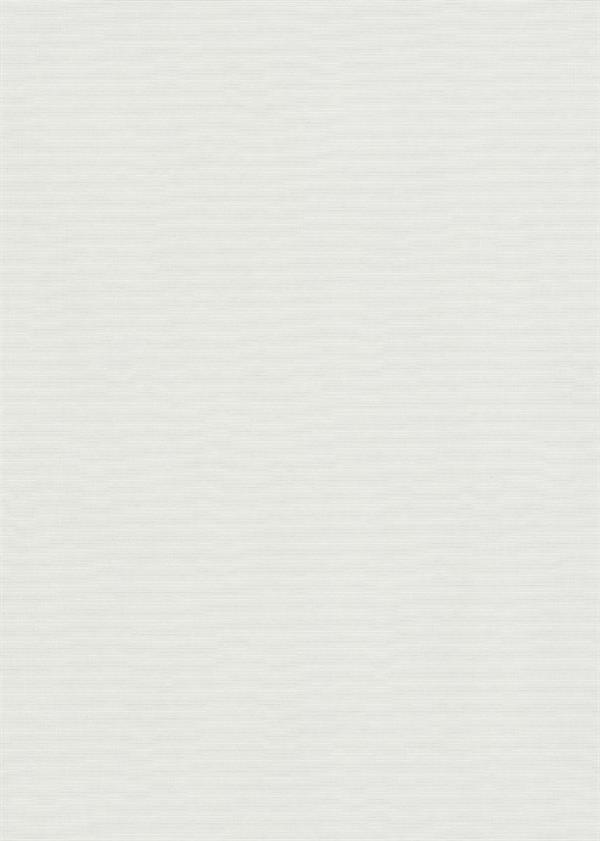 PARATO IRIDIUM PVC/TNT  /UNITO WHITE 0,53X10,05MT
