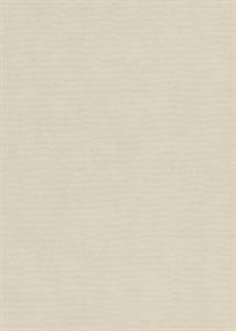 PARATO IRIDIUM PVC/TNT  /UNITO GOLD 0,53X10,05MT