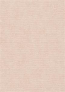 PARATO IRIDIUM PVC/TNT  /UNITO ROSA 0,53X10,05MT