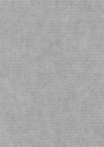 PARATO IRIDIUM PVC/TNT  /UNITO GREY 0,53X10,05MT