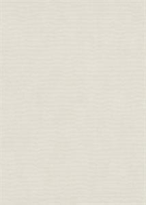 PARATO IRIDIUM PVC/TNT  /UNITO TORTORA 0,53X10,05MT