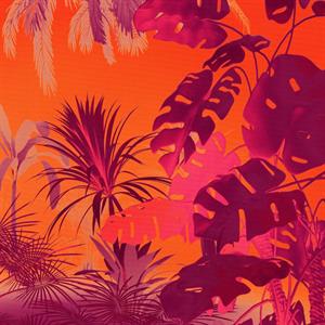 FOTOMURALE FLAIR IN TNT /JUNGLE FUNKY 250x250H CM