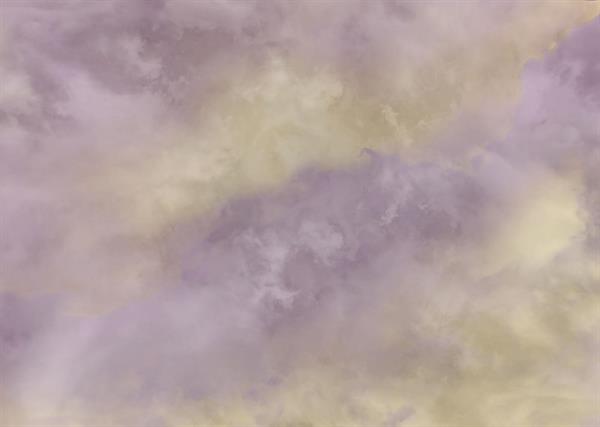 FOTOMURALE FLAIR IN TNT /DESIGN VIOLET 350x250H CM