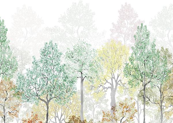 FOTOMURALE FLAIR IN TNT /FOREST RAINBOW 350x250H CM