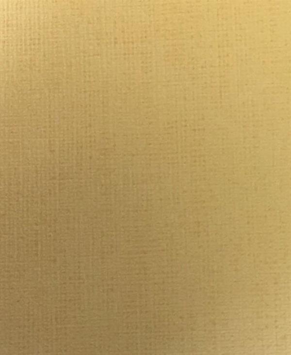 PARATO MIA&PAUL PVC/TNT / UNITO SENAPE 0,53X10,05MT