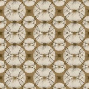 PARATO GUY LA ROCHE     IN TNT DESIGN OCRA 0,53X10,05MT