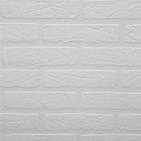 CHALET3 PARATO TNT      MATTONI WHITE 0,53X10,05MT