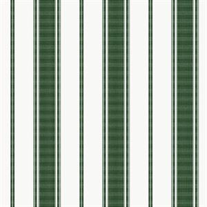 PARATO SMART STRIPES 24 /IN PVC/TNT RIGHE GREEN 0,53X10,05MT