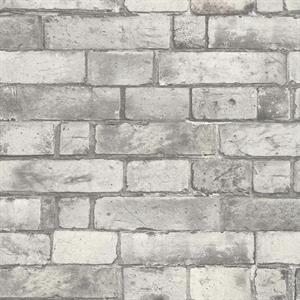 REALITY 3 PARATO TNT DISEGNO E FANTASIA GRIGIO 10x0,50 mt  C
