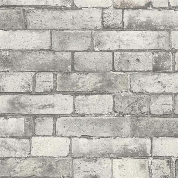 REALITY 3 PARATO TNT DISEGNO E FANTASIA GRIGIO 10x0,50 mt  C