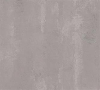 NEW STUDIO 2 PARATO SU TNT MURO GRIGIO 10x0,53 mt