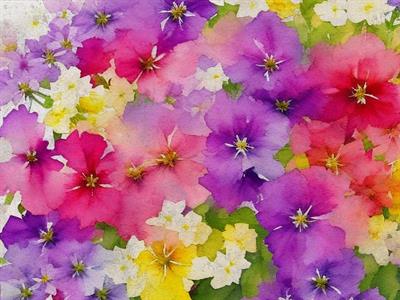 STAMPA DIG. A WORLD OF  WONDER MATT FLOWERS MULTI. MIS. AL MQ