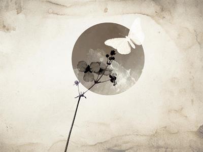 STAMPA DIG. A WORLD OF  WONDER MATT MOON MIS. AL MQ.