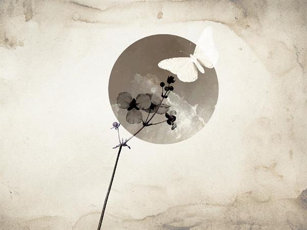 STAMPA DIG. A WORLD OF  WONDER MATT MOON MIS. AL MQ.