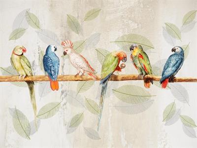 STAMPA DIG. A WORLD OF  WONDER MATT BIRDS MULTI MIS. AL MQ