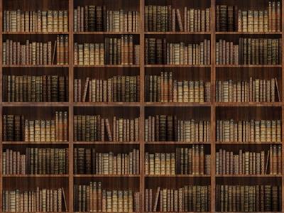 STAMPA DIG. A WORLD OF  WONDER MATT LIBRERY MIS. AL MQ