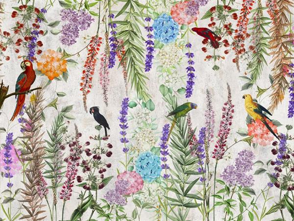 STAMPA DIG. A WORLD OF  WONDER MATT PARROTS MULTI MIS. AL MQ