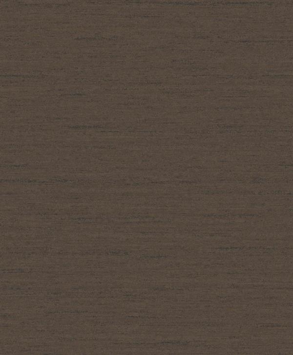 PARATO DESIGNER COLOURS /IN TNT UNITO BROWN 0,53X10,05MT