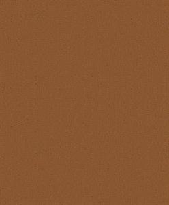 PARATO DESIGNER COLOURS /IN TNT UNITO ORANGE 0,53X10,05MT