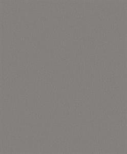 PARATO DESIGNER COLOURS /IN TNT UNITO DARK GREY  0,53X10,05MT